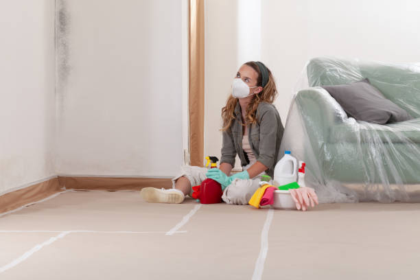Reliable Mold Testing contractor in Millington, MI by WQB Mold Removal